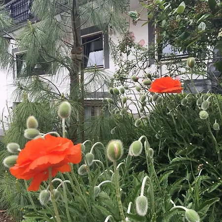 Апартаменты Haus Sonnenschein Меспельбрунн